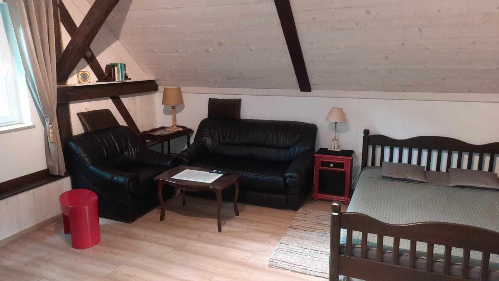 Apartament Jelen W Smokingu Sulow  المظهر الخارجي الصورة